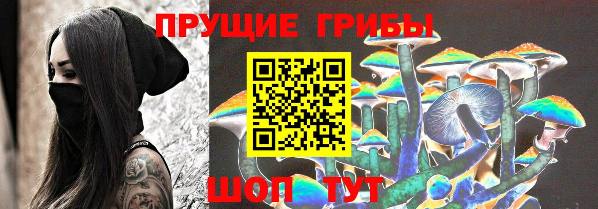 магазин продажи наркотиков  Галлюциногенные грибы мухоморы  Берёзовский  Вход с VPN  Галлюциногенные грибы Psilocybe 