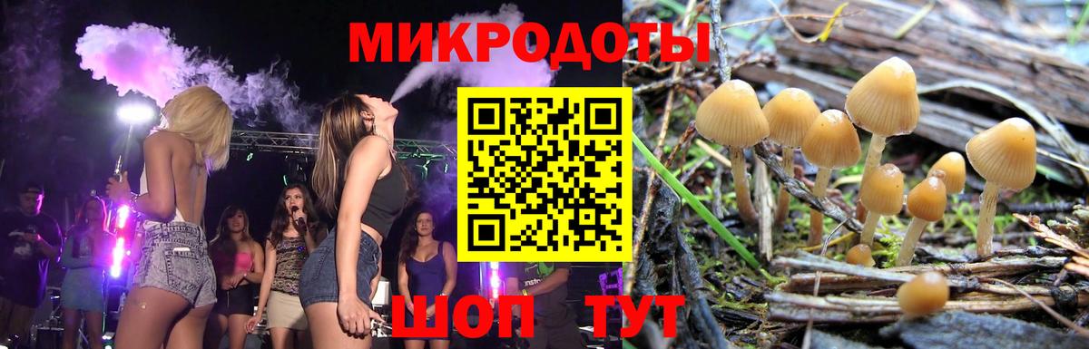 Галлюциногенные грибы Magic Shrooms Берёзовский